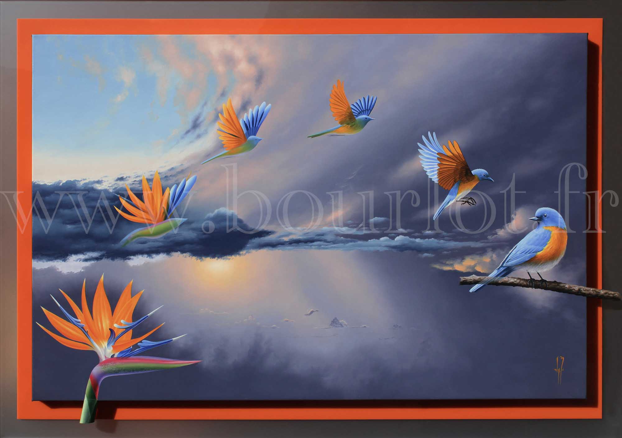 Oiseaux du Paradis
